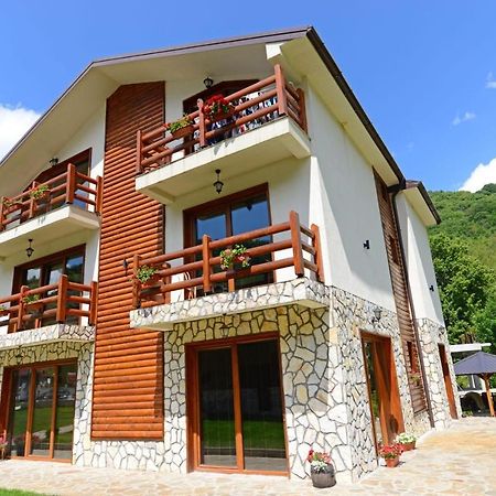 Villa 'Iva' Mavrovo Bagian luar foto